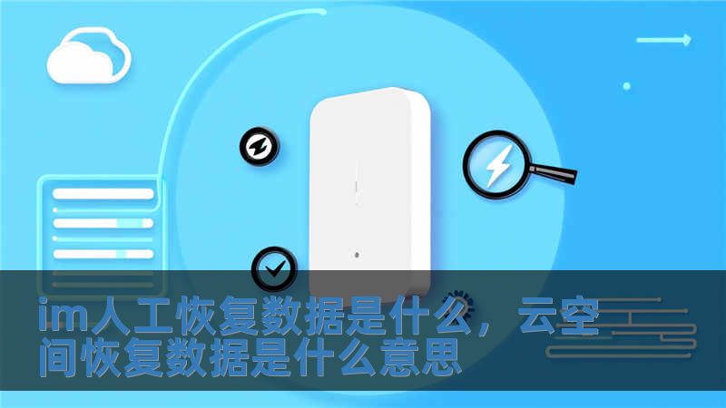 im人工恢復數(shù)據(jù)是什么，云空間恢復數(shù)據(jù)是什么意思