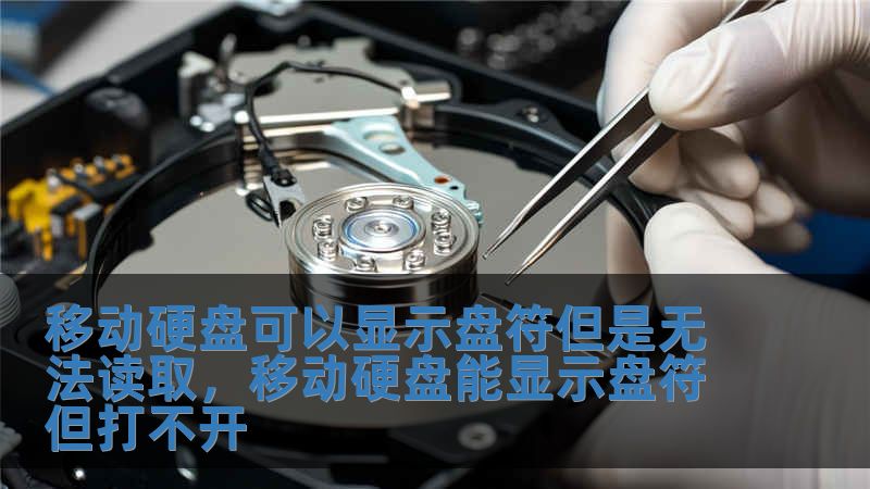 移動硬盤可以顯示盤符但是無法讀取，移動硬盤能顯示盤符但打不開