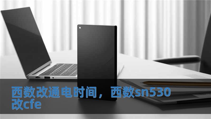 西數改通電時間，西數sn530改cfe