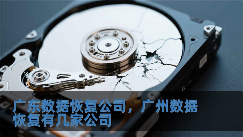廣東數(shù)據(jù)恢復公司，廣州數(shù)據(jù)恢復有幾家公司