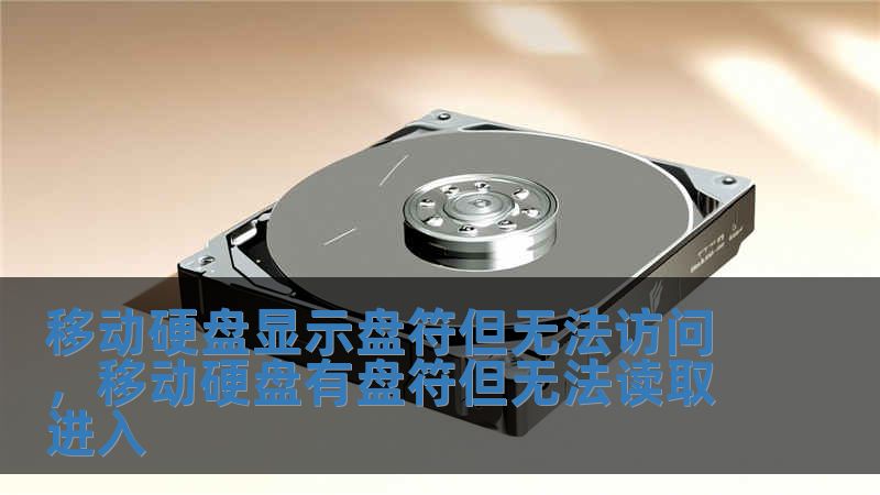移動硬盤顯示盤符但無法訪問，移動硬盤有盤符但無法讀取進入