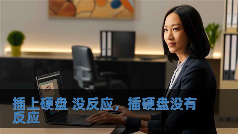 插上硬盤 沒反應，插硬盤沒有反應