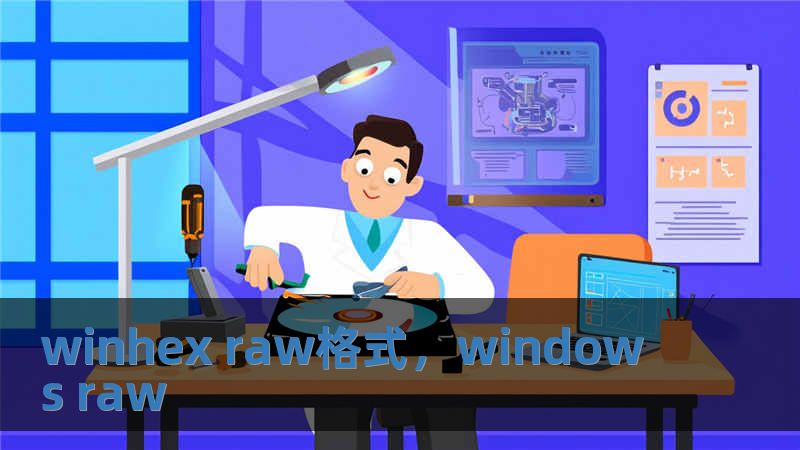 winhex raw格式，windows raw