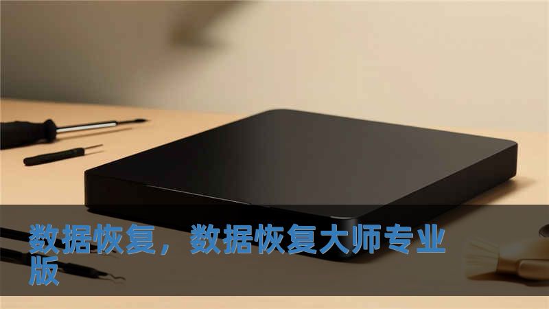 數(shù)據(jù)恢復(fù)，數(shù)據(jù)恢復(fù)大師專業(yè)版