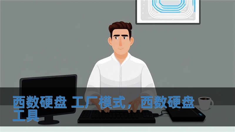 西數硬盤 工廠模式，西數硬盤工具