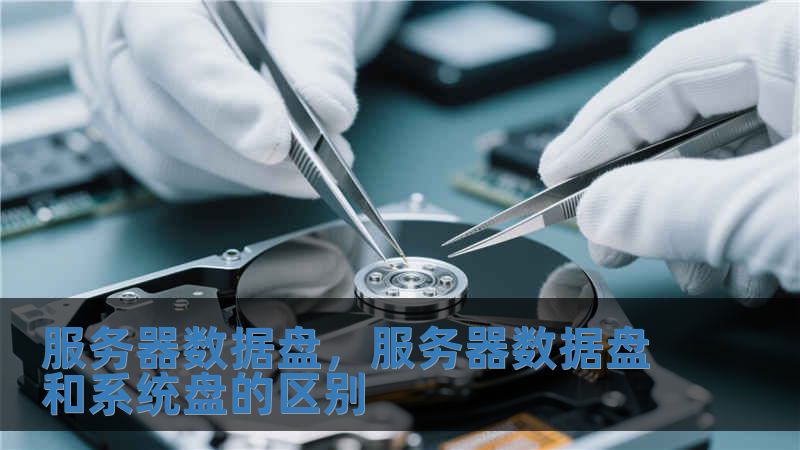 服務器數據盤，服務器數據盤和系統盤的區別