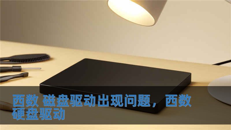 西數(shù) 磁盤(pán)驅(qū)動(dòng)出現(xiàn)問(wèn)題，西數(shù)硬盤(pán)驅(qū)動(dòng)