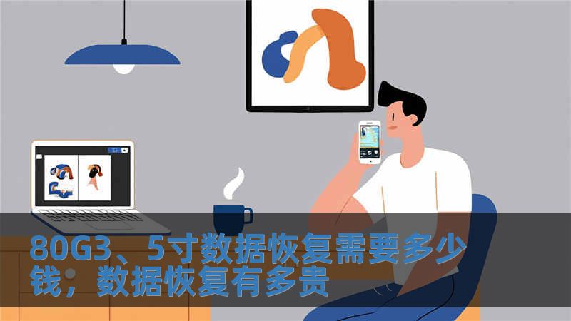 80G3、5寸數(shù)據(jù)恢復(fù)需要多少錢，數(shù)據(jù)恢復(fù)有多貴