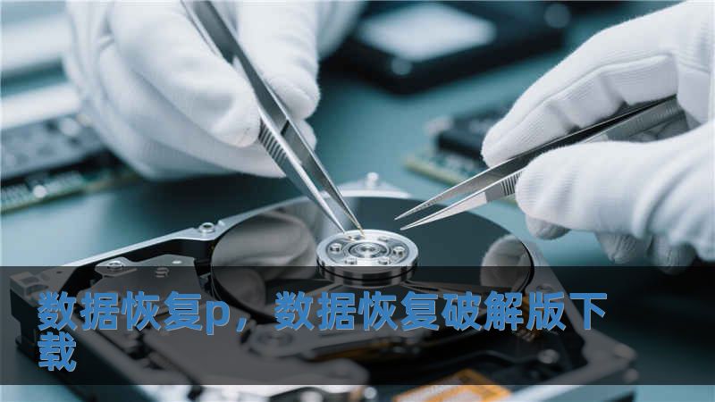 數(shù)據(jù)恢復(fù)p，數(shù)據(jù)恢復(fù)破解版下載