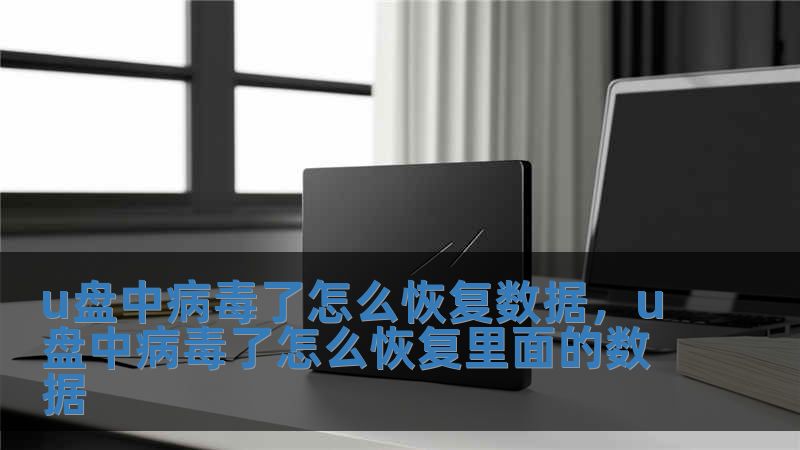 u盤中病毒了怎么恢復(fù)數(shù)據(jù)，u盤中病毒了怎么恢復(fù)里面的數(shù)據(jù)