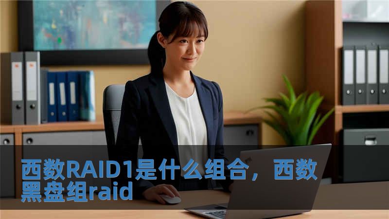 西數RAID1是什么組合，西數黑盤組raid