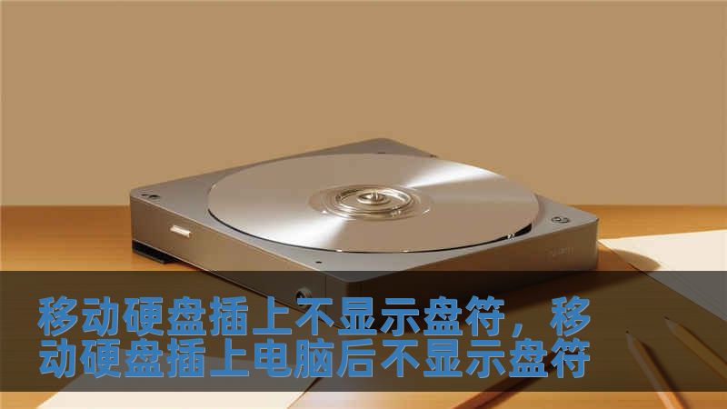 移動(dòng)硬盤(pán)插上不顯示盤(pán)符，移動(dòng)硬盤(pán)插上電腦后不顯示盤(pán)符