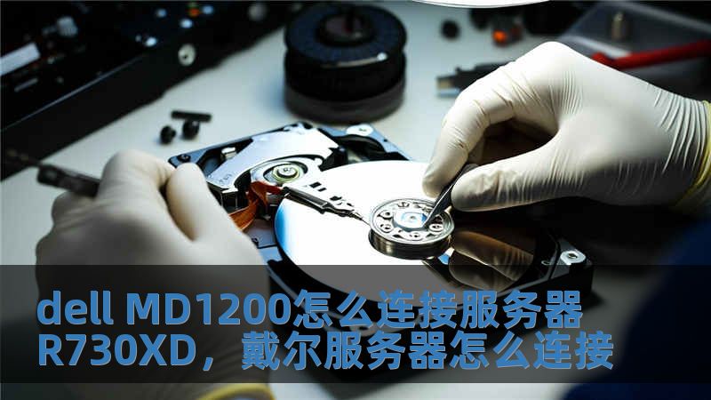 dell MD1200怎么連接服務器R730XD，戴爾服務器怎么連接