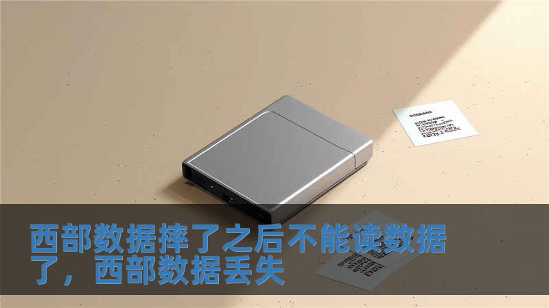 西部數(shù)據(jù)摔了之后不能讀數(shù)據(jù)了，西部數(shù)據(jù)丟失