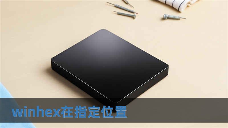 winhex在指定位置