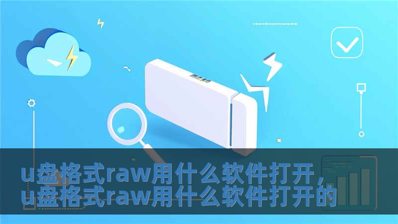 u盤格式raw用什么軟件打開，u盤格式raw用什么軟件打開的