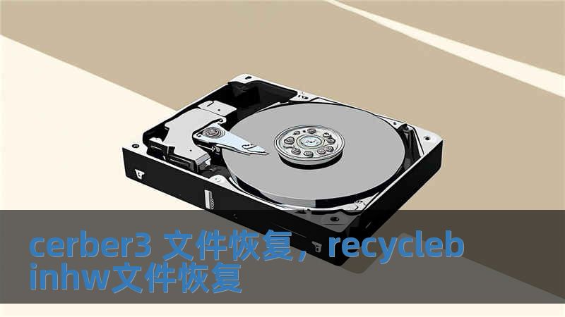 cerber3 文件恢復(fù)，recyclebinhw文件恢復(fù)