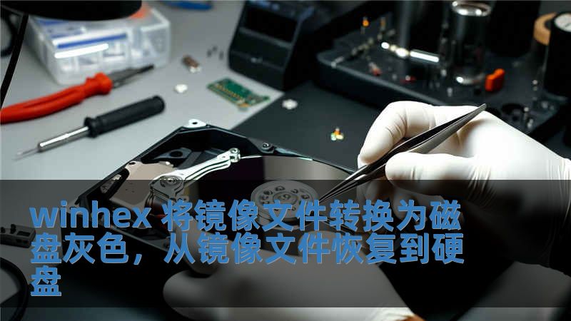 winhex 將鏡像文件轉(zhuǎn)換為磁盤灰色，從鏡像文件恢復(fù)到硬盤