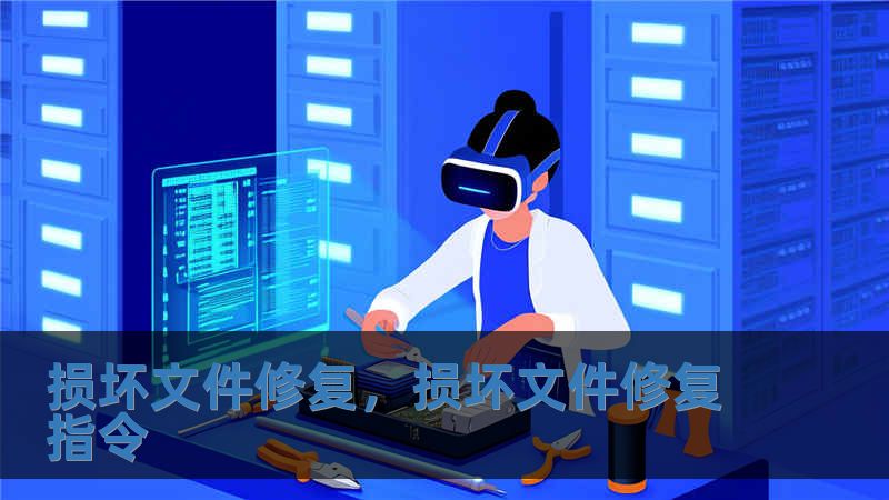 損壞文件修復(fù)，損壞文件修復(fù)指令