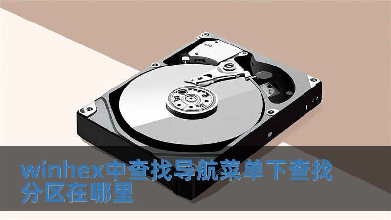 winhex中查找導航菜單下查找分區在哪里
