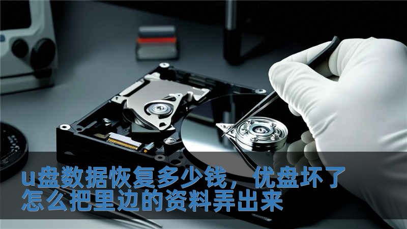 u盤數據恢復多少錢，優盤壞了怎么把里邊的資料弄出來