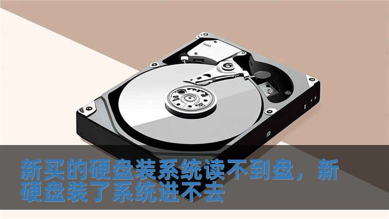 新買的硬盤裝系統讀不到盤，新硬盤裝了系統進不去