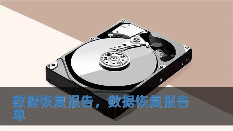 數據恢復報告，數據恢復報告單