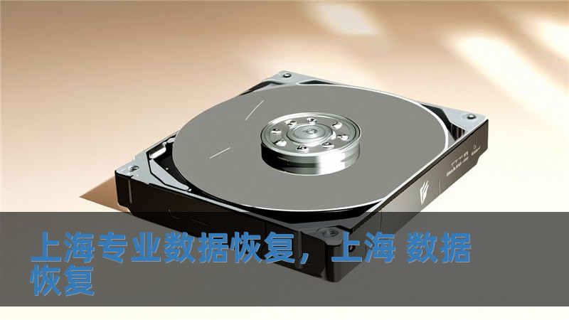 上海專業數據恢復，上海 數據恢復