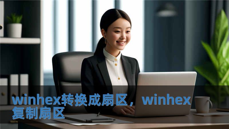 winhex轉(zhuǎn)換成扇區(qū)，winhex復(fù)制扇區(qū)