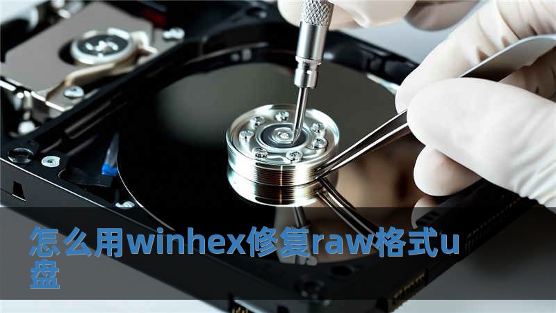 怎么用winhex修復(fù)raw格式u盤(pán)