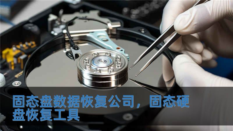 固態(tài)盤數(shù)據(jù)恢復公司，固態(tài)硬盤恢復工具