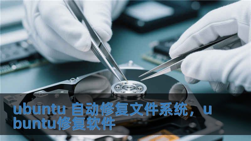 ubuntu 自動修復(fù)文件系統(tǒng)，ubuntu修復(fù)軟件