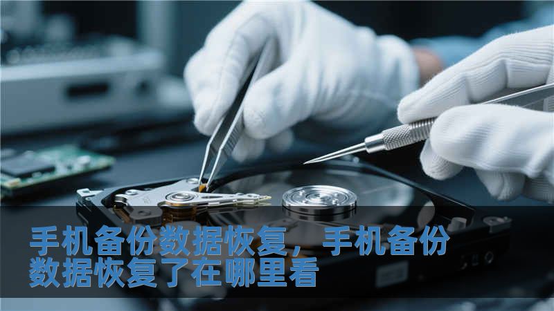 手機備份數據恢復，手機備份數據恢復了在哪里看