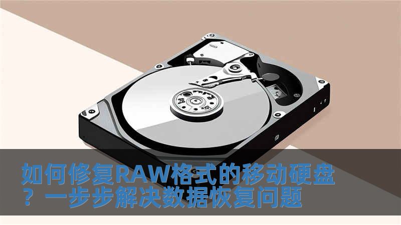 如何修復RAW格式的移動硬盤？一步步解決數據恢復問題