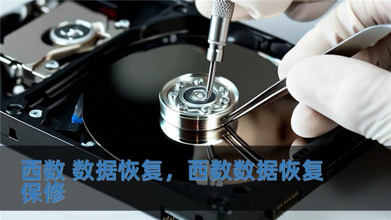 西數(shù) 數(shù)據(jù)恢復(fù)，西數(shù)數(shù)據(jù)恢復(fù)保修