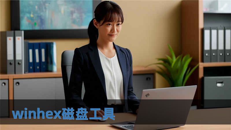 winhex磁盤(pán)工具