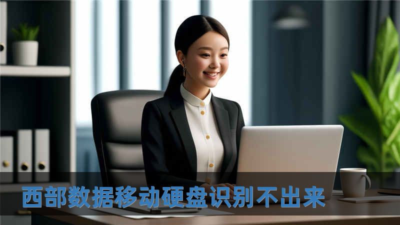 西部數(shù)據(jù)移動(dòng)硬盤識(shí)別不出來
