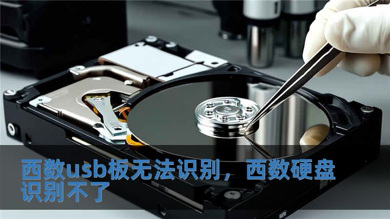 西數(shù)usb板無(wú)法識(shí)別，西數(shù)硬盤(pán)識(shí)別不了