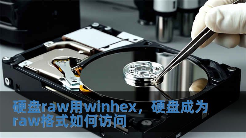 硬盤raw用winhex，硬盤成為raw格式如何訪問