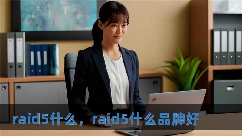 raid5什么，raid5什么品牌好