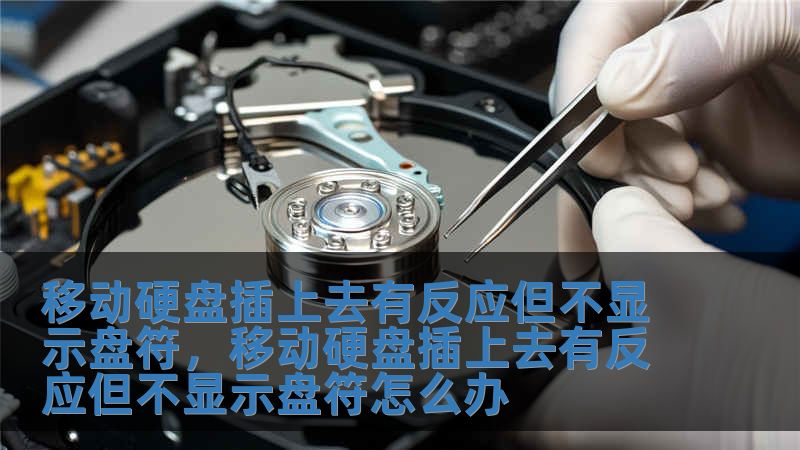 移動硬盤插上去有反應但不顯示盤符，移動硬盤插上去有反應但不顯示盤符怎么辦