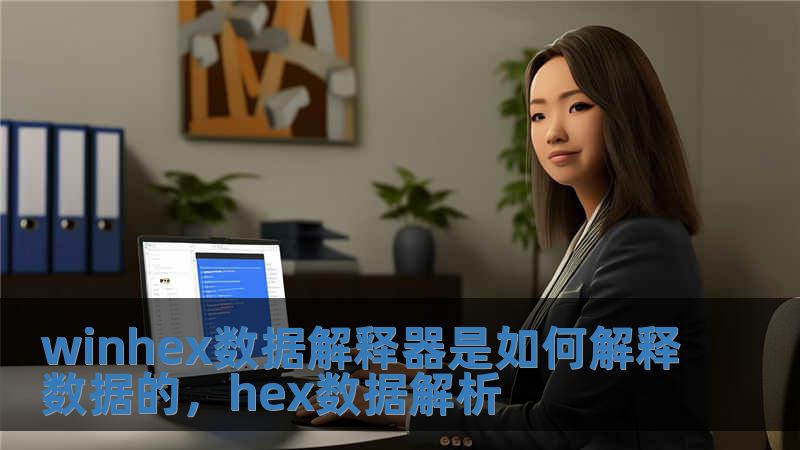 winhex數據解釋器是如何解釋數據的，hex數據解析