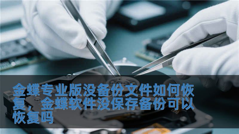 金蝶專業(yè)版沒備份文件如何恢復(fù)，金蝶軟件沒保存?zhèn)浞菘梢曰謴?fù)嗎