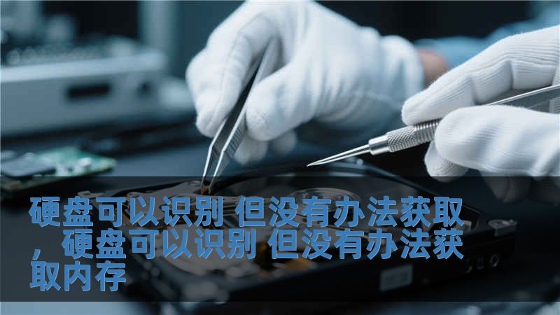 硬盤可以識(shí)別 但沒有辦法獲取，硬盤可以識(shí)別 但沒有辦法獲取內(nèi)存