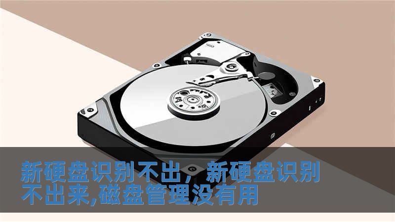 新硬盤識別不出，新硬盤識別不出來,磁盤管理沒有用