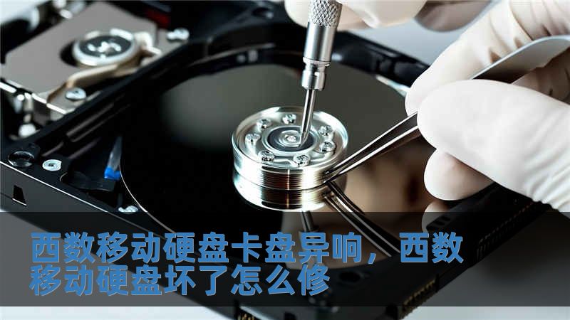 西數(shù)移動硬盤卡盤異響，西數(shù)移動硬盤壞了怎么修