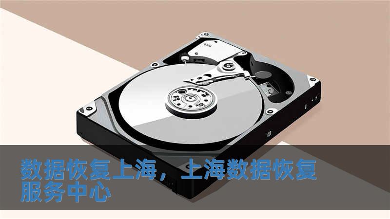 數(shù)據(jù)恢復(fù)上海，上海數(shù)據(jù)恢復(fù)服務(wù)中心