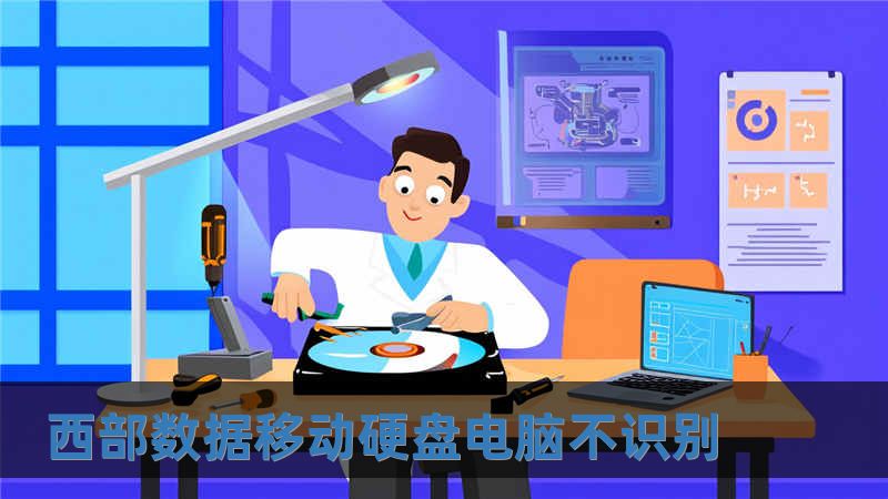 西部數(shù)據(jù)移動(dòng)硬盤(pán)電腦不識(shí)別