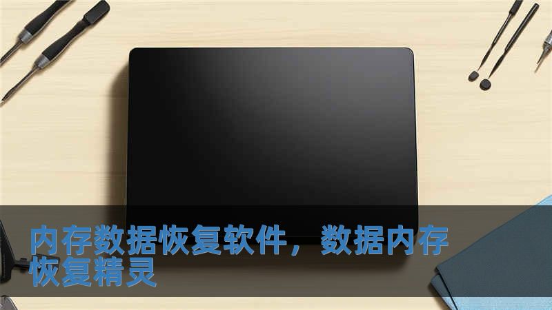 內存數據恢復軟件，數據內存恢復精靈
