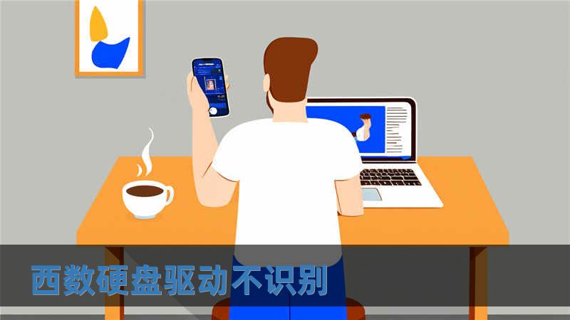 西數(shù)硬盤驅(qū)動(dòng)不識(shí)別